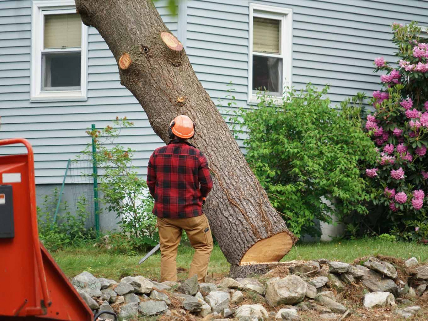 Emergency Tree Removal, Fallen Tree Removal Ocala, FL Rocky's Tip